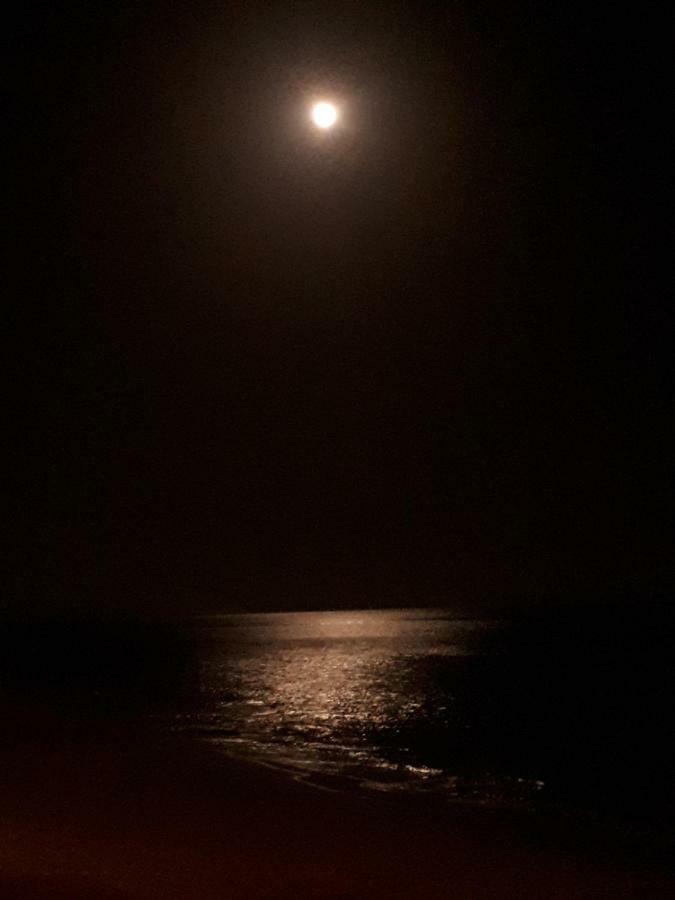 Playa Paraiso - A Dream Over The Ocean コスタ・カルマ エクステリア 写真